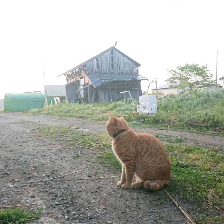 21d8d836 3574 400a b41b 95930c77e27b 1652820583414