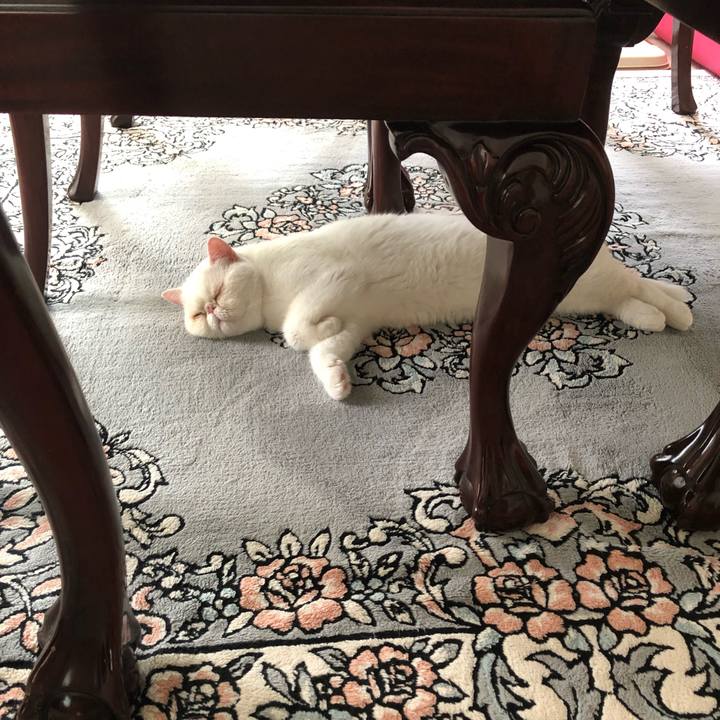 21d8e364 c57c 4452 8c03 4c5af5995ba9 1624151191416