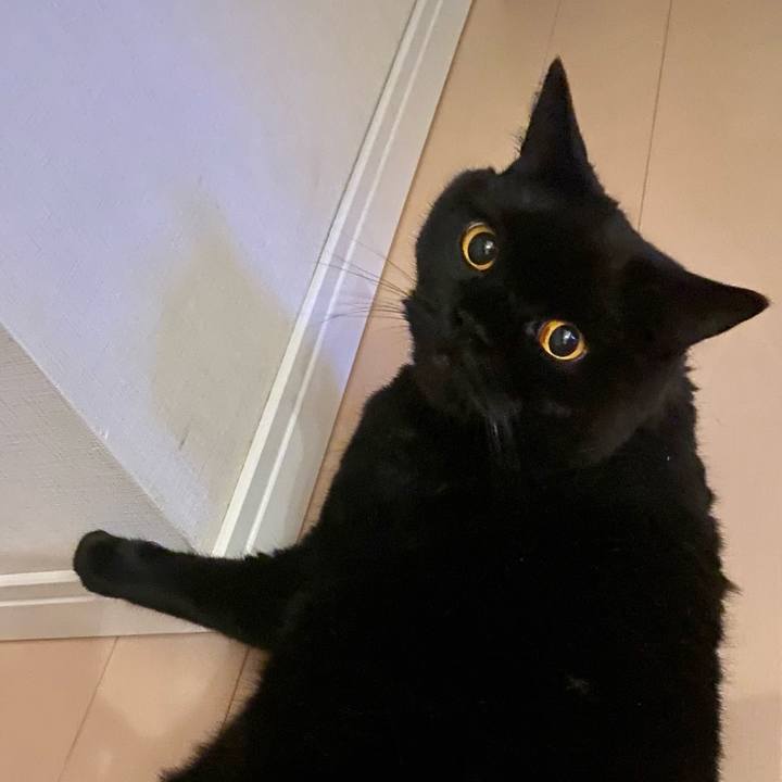 21d8f563 5019 468b a090 841d7080e969 1758454992210