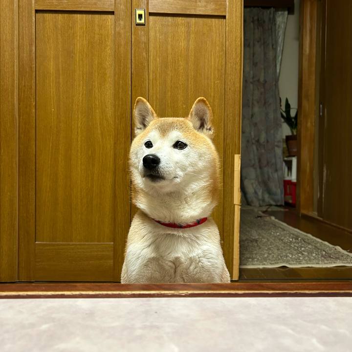 21d90356 3724 444f b372 be5a0cafef38 1703242439174