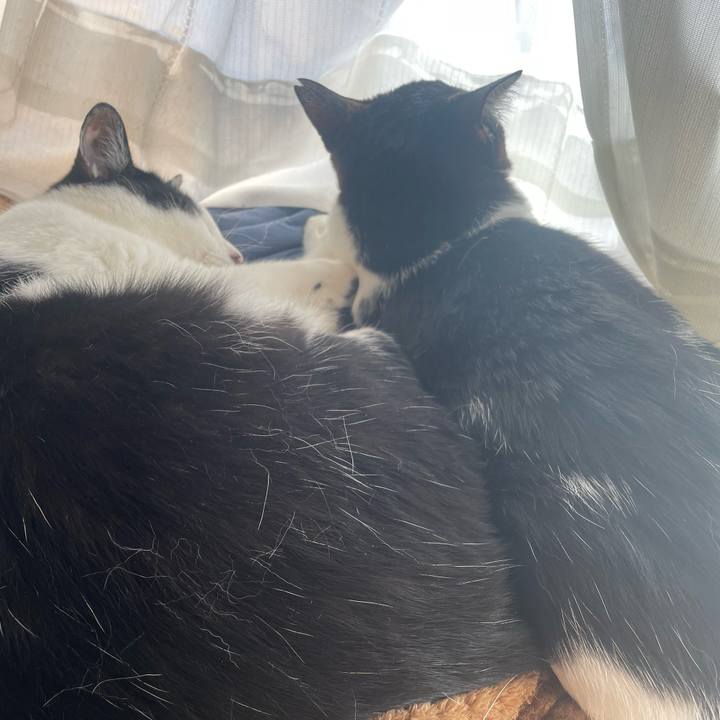 21d90dac 432b 4869 b9c1 645bc4409035 1717391455689