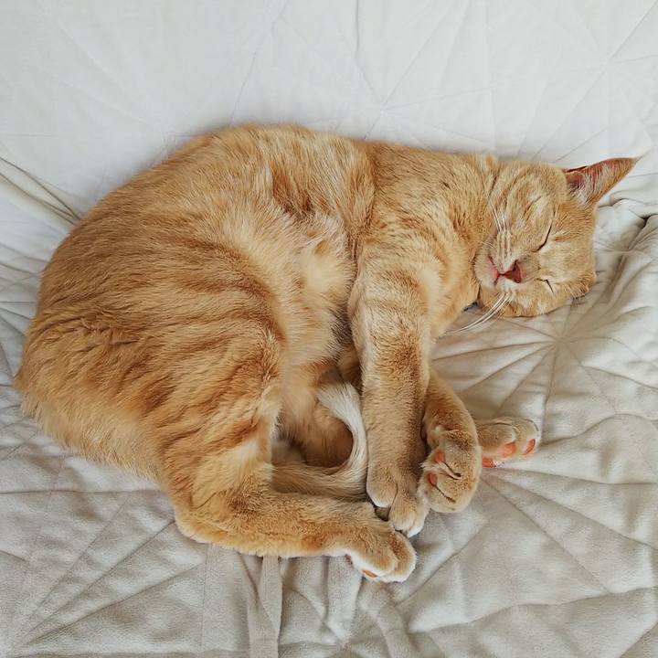 21d93396 a354 41c3 9347 ec9c92433408 1628806877829