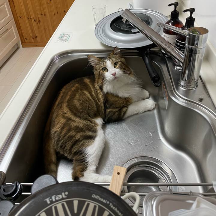 21d93927 284e 4fdf bfc1 9ff1b184ad35 1662148766635