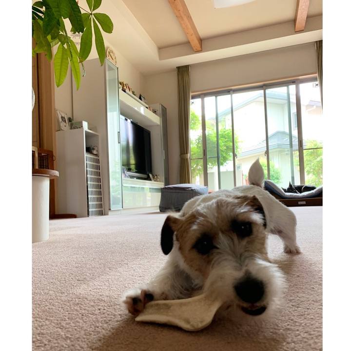 21d9565c 4ffc 436b 8225 4ae0f89d4a59 1590629681247