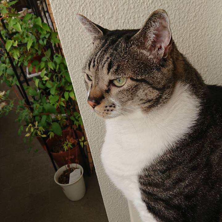 21d9a44c efae 4eac b142 700903b08b15 1563442859496