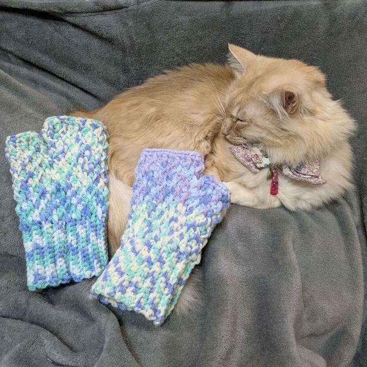 21d9d3cf 612e 4d52 a9c2 fe8698ceb872 1767261562927