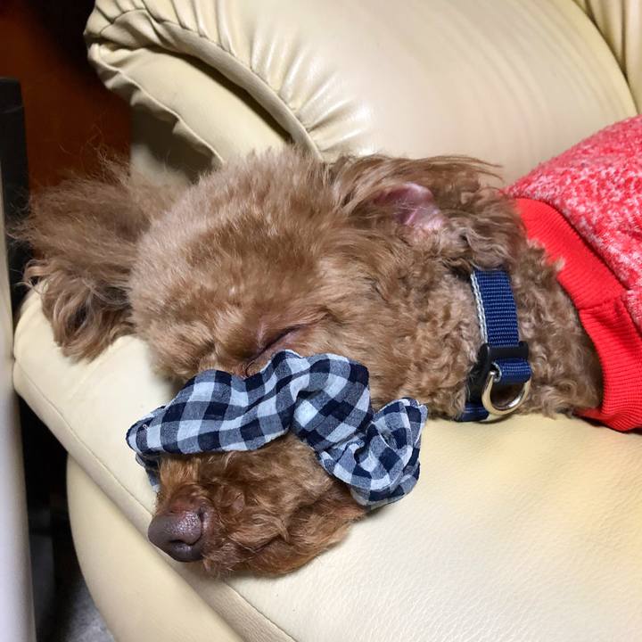 21d9f103 87fa 4721 85fd 6705dbcca344 1553930435859