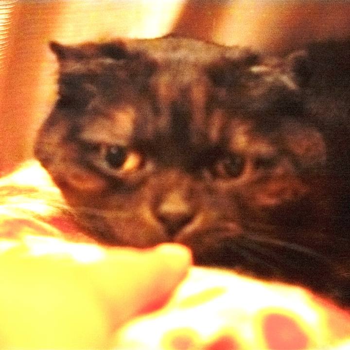 21da11af f8e5 4c7e 8804 7cce950a0613 1617207334815