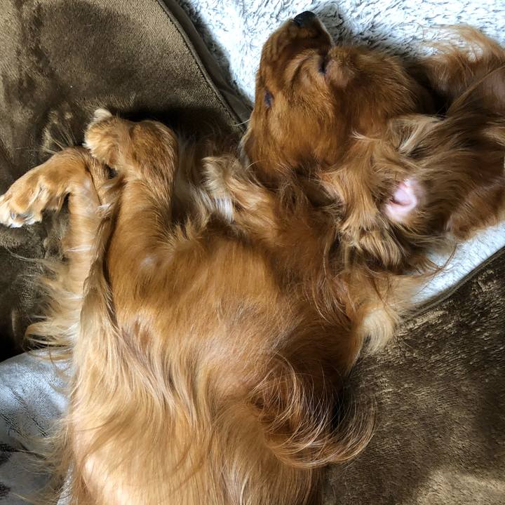 21da3818 f3c0 4ec1 8229 1afc6d5156cf 1552204153239