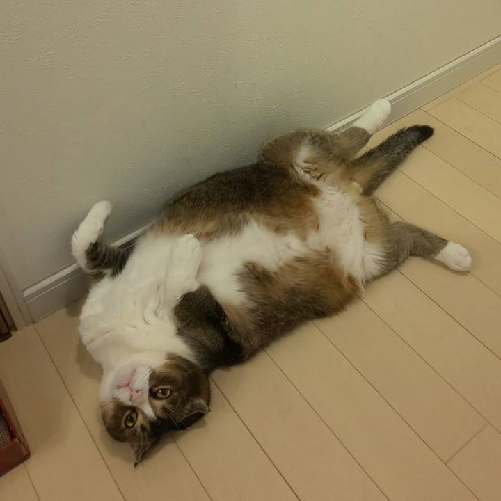 21da3d2d 9342 4822 9c9b 1376be3fa366 1623365234326