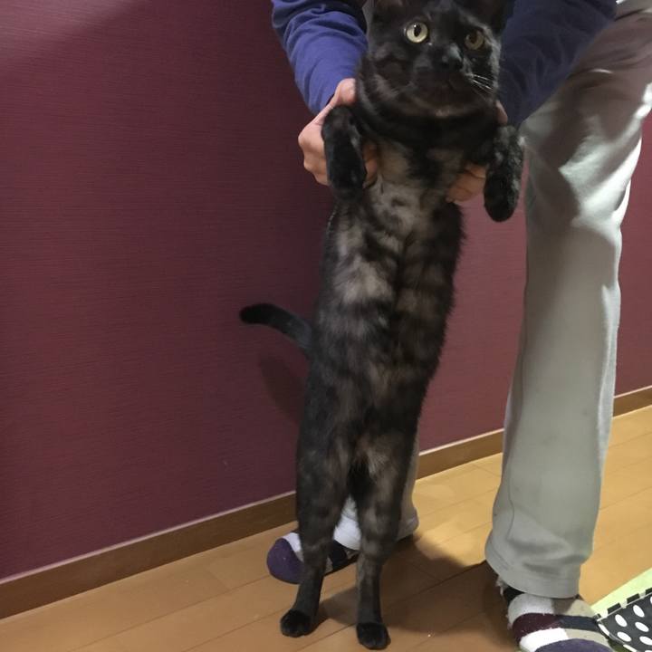 21da50a3 55e4 420c 8596 9e21778185ef 1549769940387