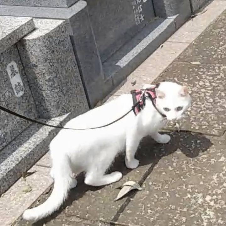 21da578f 24b4 4f57 863b 5e7b6bcb44cd 1627018877035