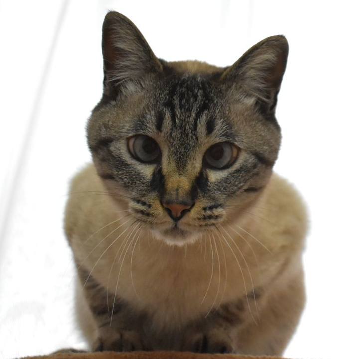 21da5f3e 03c3 45d2 b4dc 07de280216a8 1557651244046