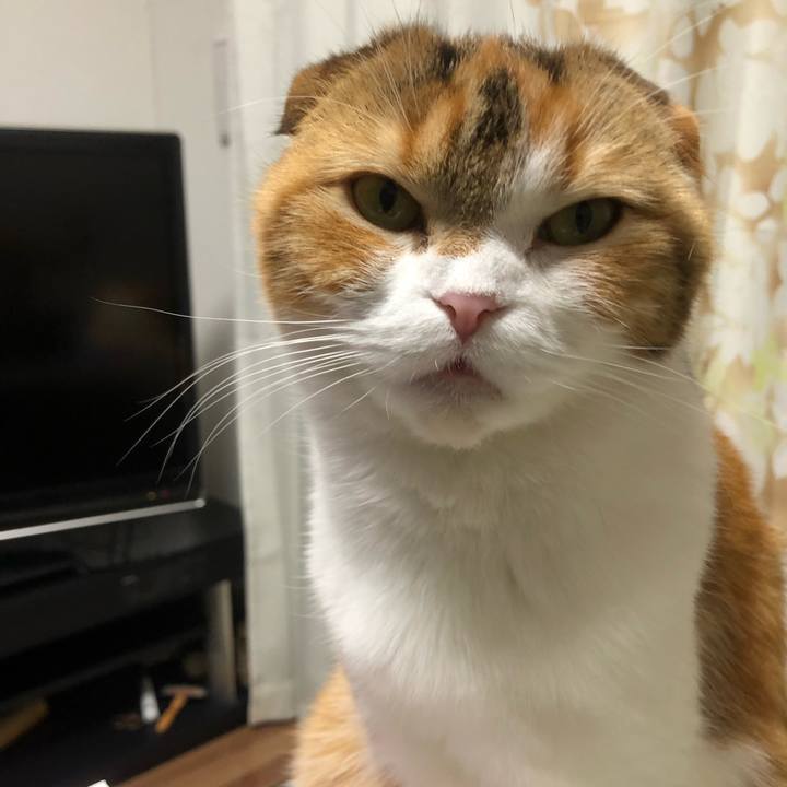 21da6893 67c3 4e8f bcb8 714e2bd9417e 1584268765911