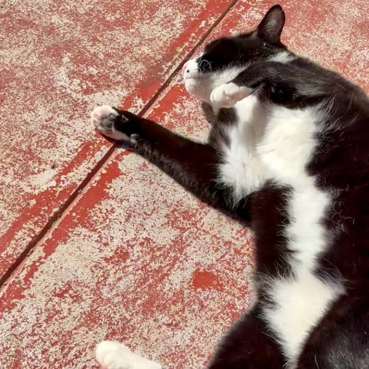 21daa450 28b9 4b38 800d 1c6c0b7f0f25 1771447140251