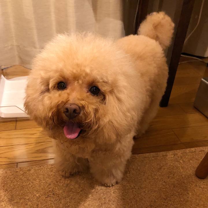 21dac3f9 944a 48bf 91d4 030332dc8119 1569934286476