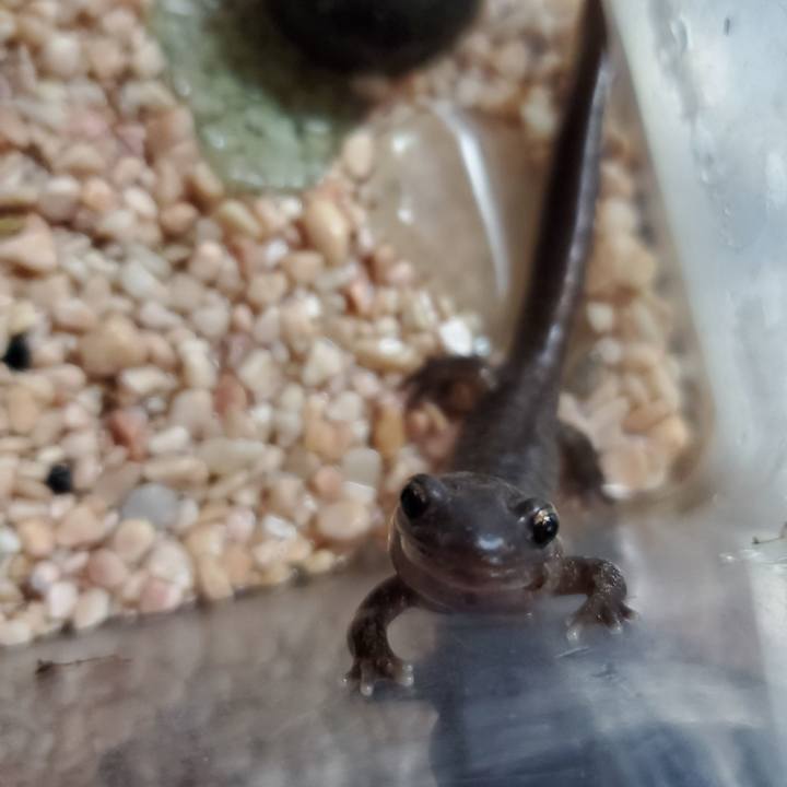 21dac700 e7df 4061 a10e 2ece0f320c9e 1704008057441