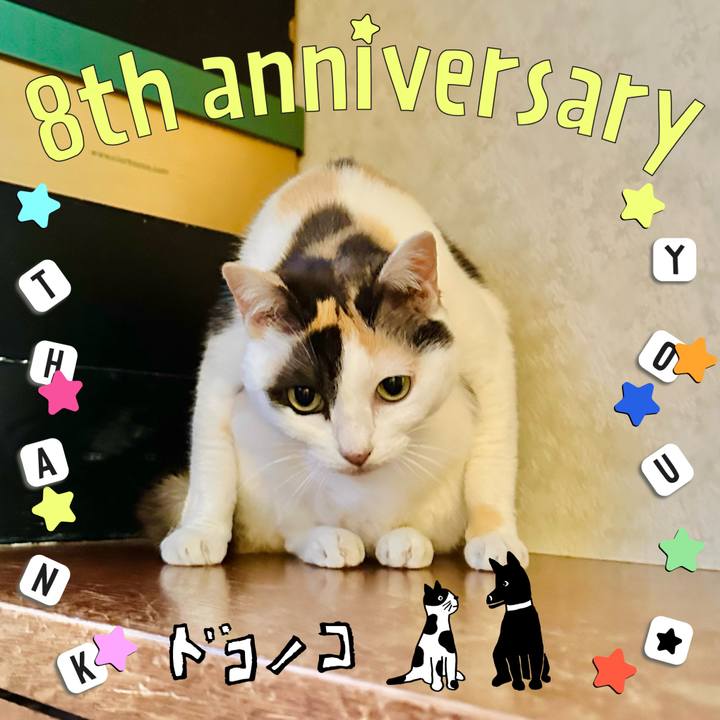 21dad406 02e8 4371 b99b eea56bf3055b 1717726741498