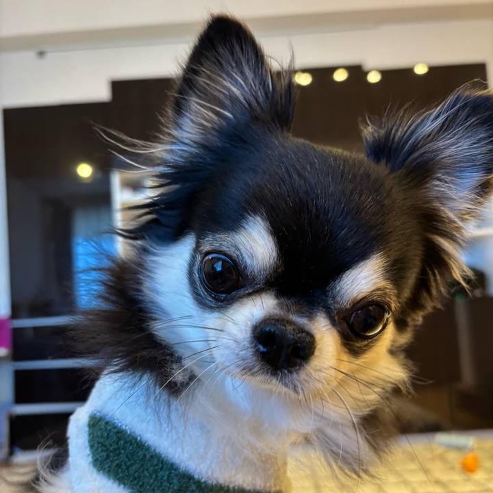 21dae278 90f2 497a bb16 c66b15260ea1 1737907228604