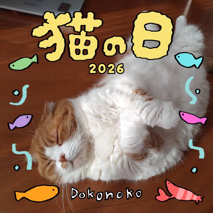 21db08c3 e83c 471c 95a5 82f4947dcd3f 1771745647761