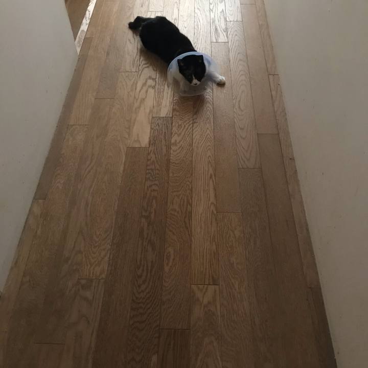 21db5040 a6d0 44c6 96f9 be505ae38764 1583814293558