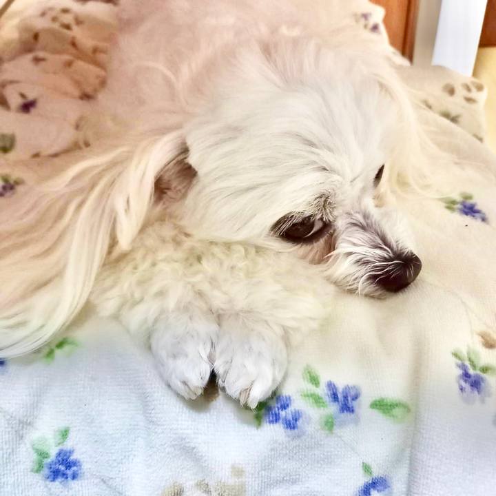 21db7cac a198 4ca2 b797 1b82c1f6e30f 1623987223709