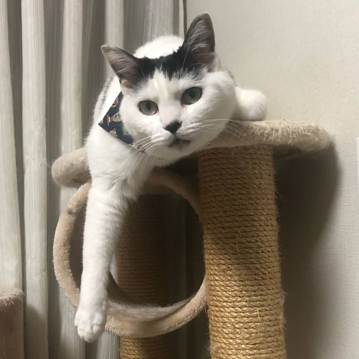 21dc4a6e 27d7 4c8e ba0c d58e064dabaf 1576761174135