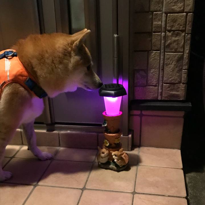 21dc7841 36e5 4403 a2e2 550200eaa10b 1511241575935