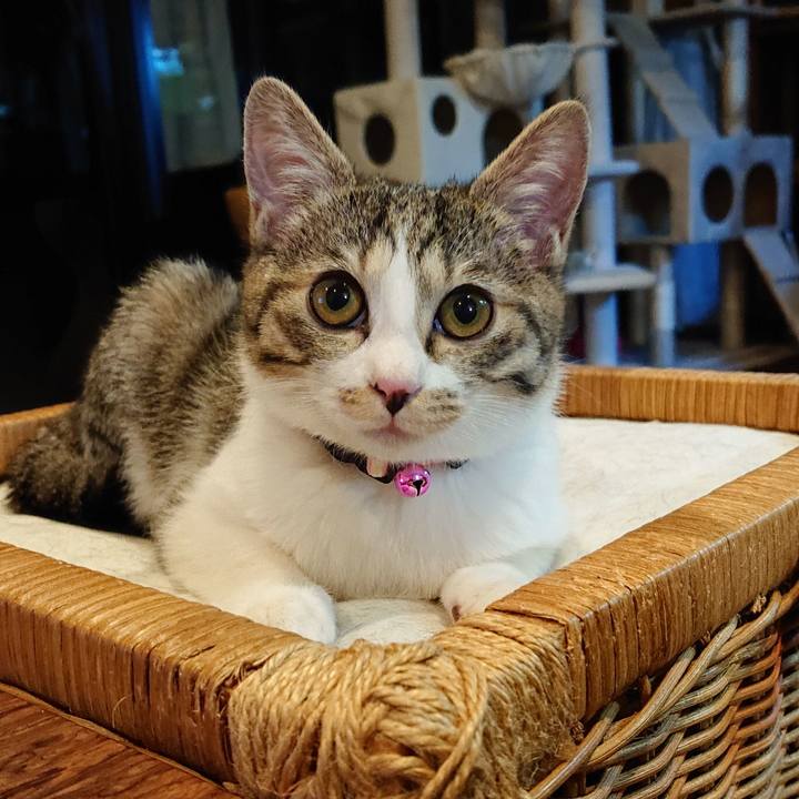 21dc7909 91cd 4daa b03e c5b4d9505478 1547253622783