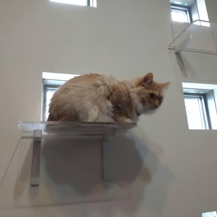 21dca386 cdfb 470e b337 203f7288e28d 1648362261246