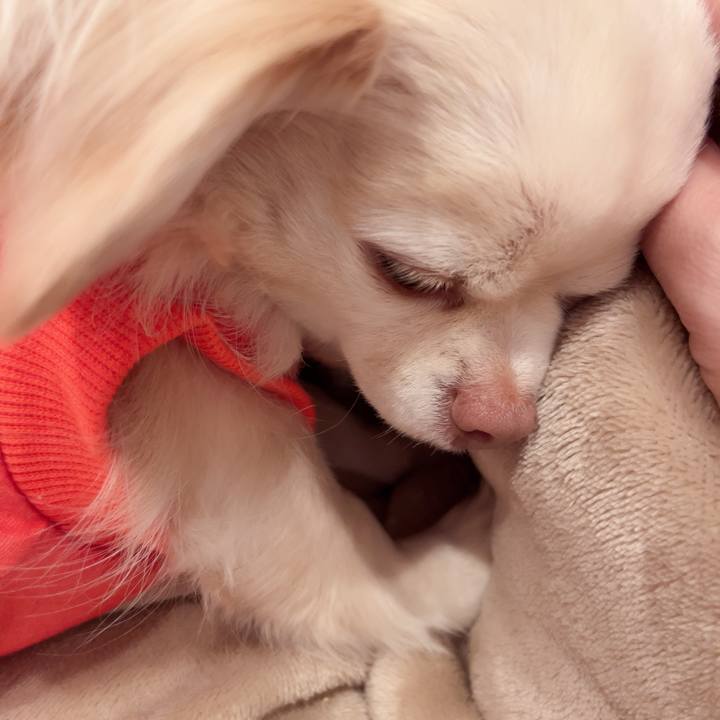 21dcc97c 4926 4dfd ba55 2643e9000325 1739956119413