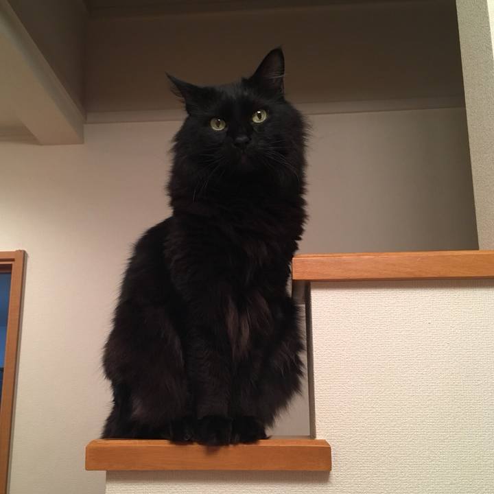 21dcf8e9 c21e 462f 84e9 96db0616a054 1517831940043