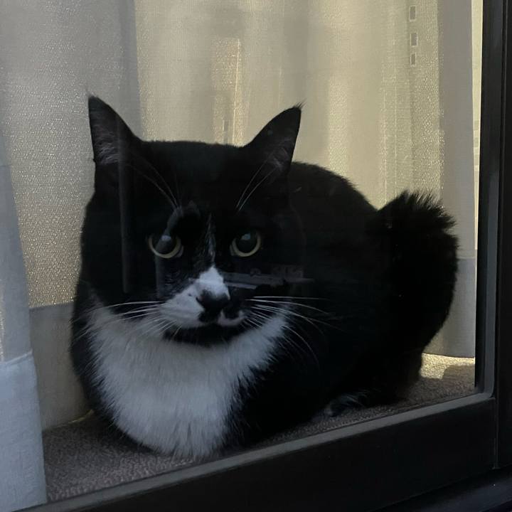 21dd6ad8 6b94 4df0 b60d 4828b71bff38 1766566441737