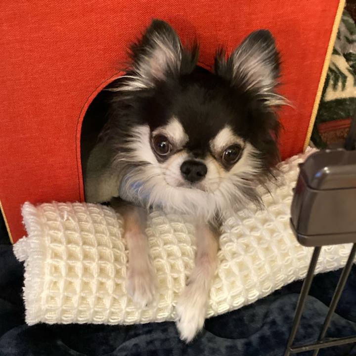 21dd792b 60f1 42bc b8fa ada264df3972 1707026670624