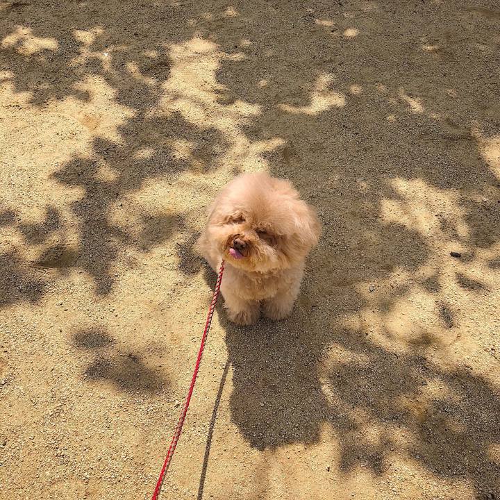 21dd8e31 3f93 453b 81db a72300286d6e 1525403046757