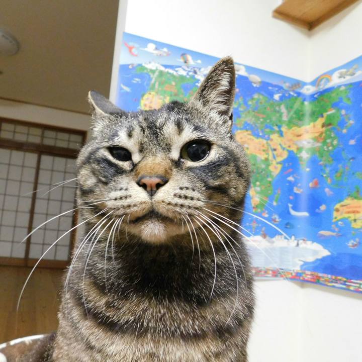 21dd9aa7 8c7b 4ef7 8d17 9d9d8f2a34c6 1527947342030