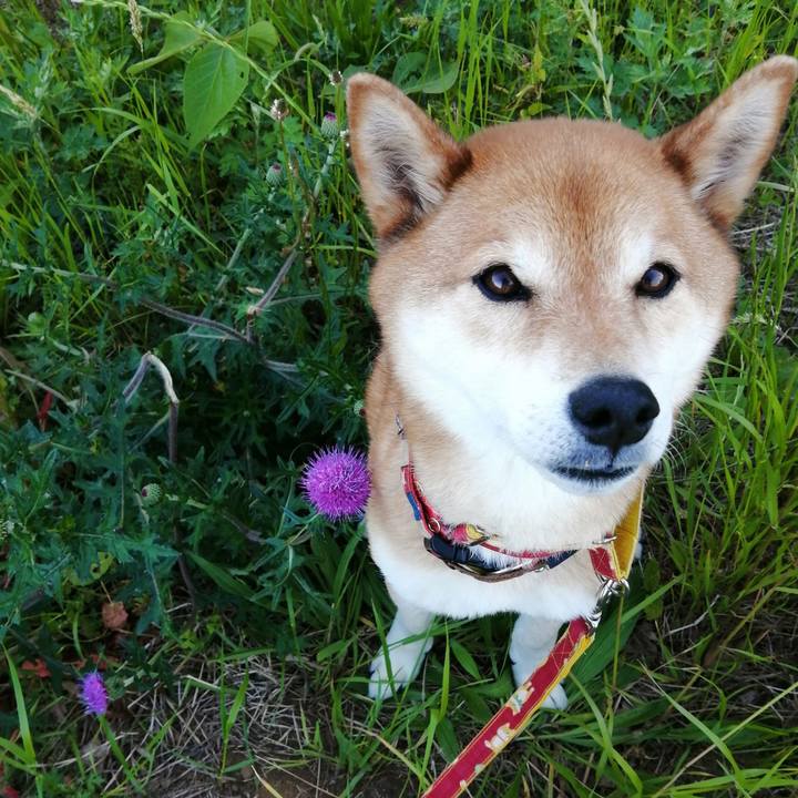 21ddb083 e2e3 47c4 8f0f 06c145ce3787 1683123165444