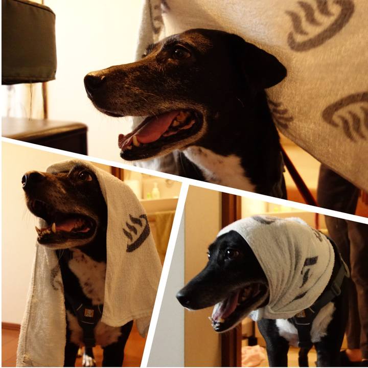 21ddbf96 c4df 4fc4 a4f1 6759936b942e 1731496671860