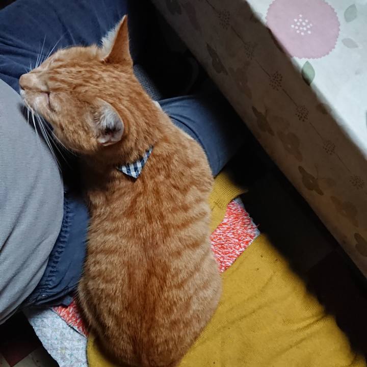 21ddc384 47c7 4b81 ab7e 4b23b7c87cd0 1570862219586