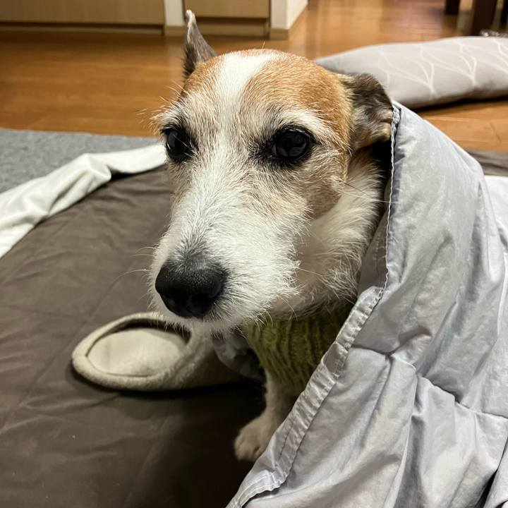 21dde89c 1abf 4f25 aba5 738b25097b12 1673911627457