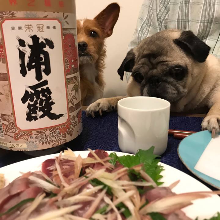 21ddf869 421b 444d 920d 5e9f92ce7927 1564834082992