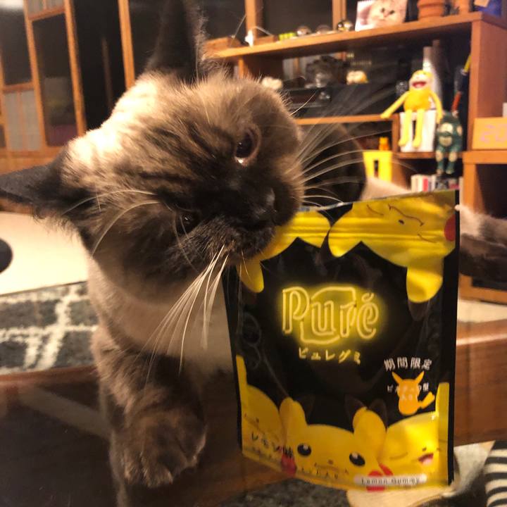 21de58ec c0b4 4a7d b668 df8edbd643c3 1606563535708