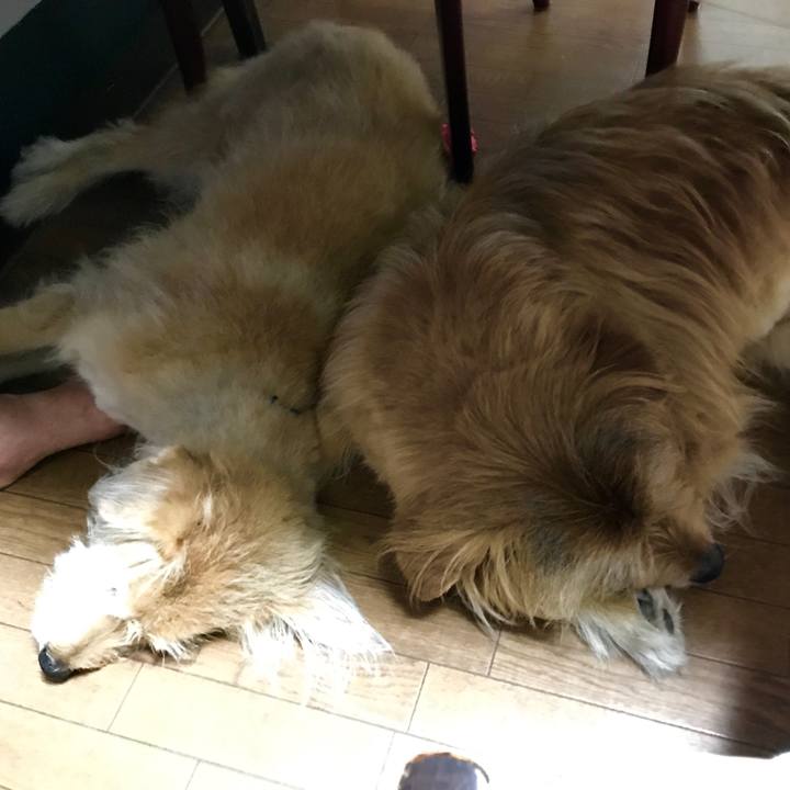 21de656b 1e36 4091 aeb1 f26f8365d690 1592047049996