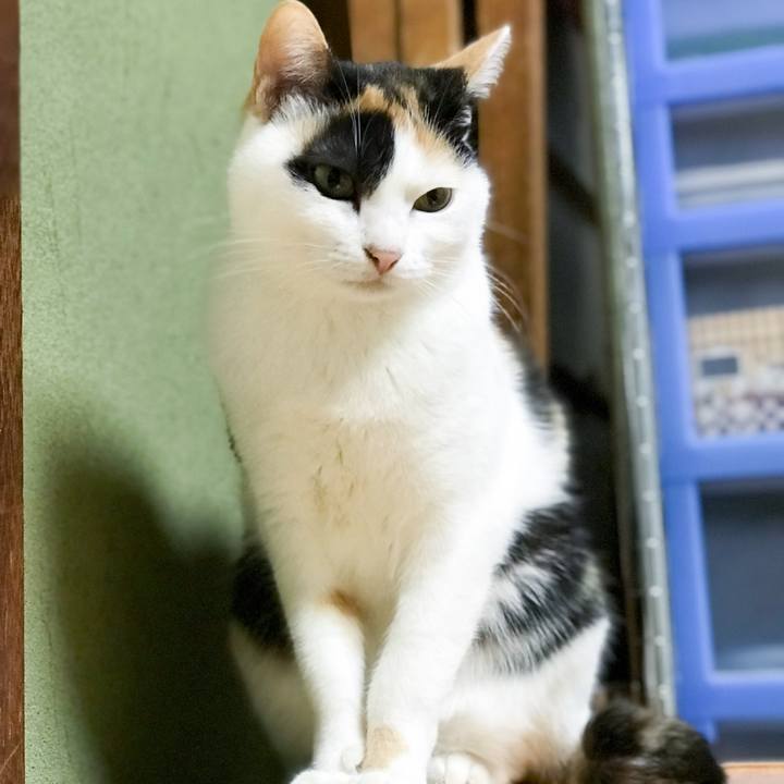 21de8e69 2f67 4e7b 9022 3cbb2edfec5e 1512954368453