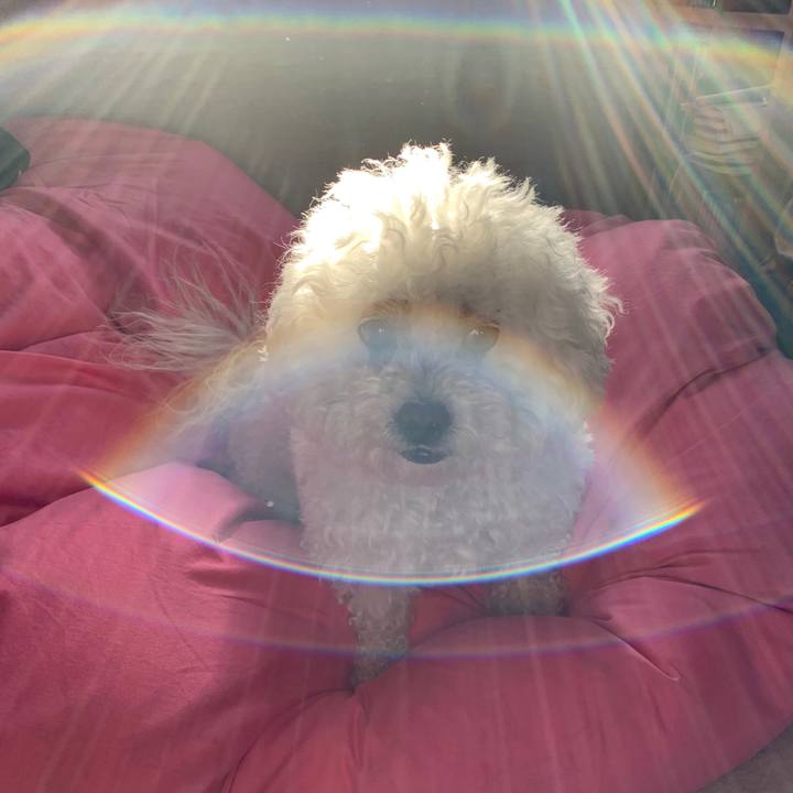 21de97ef 0268 4d24 a27b 61a6b3edb565 1556403636268