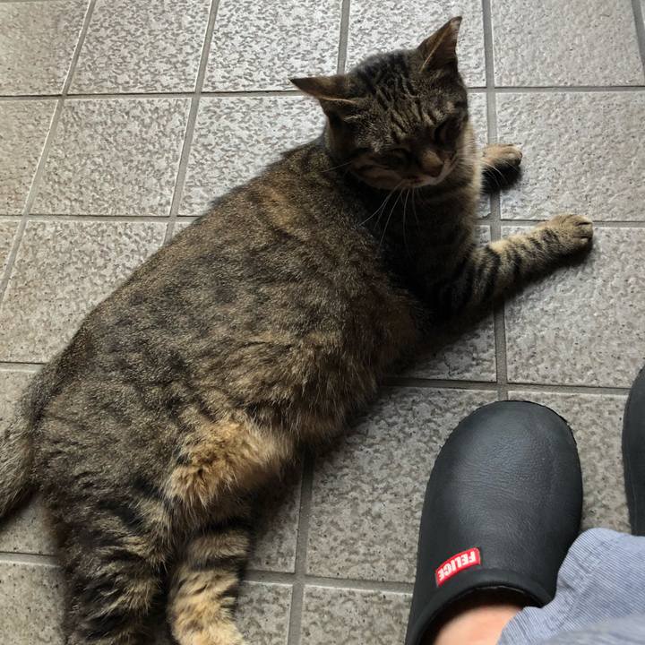 21de9aa2 1576 43de a6f2 6b62f12816e7 1532085646895