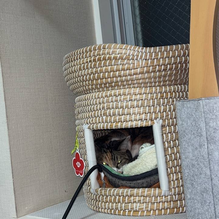 21dea75b 529e 42e5 9833 ea74dea06732 1761207903600