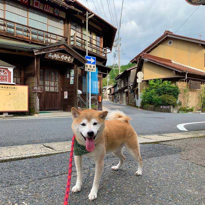 21debcbb 8ce2 43b6 841a 31d8b64f975a 1694076913183