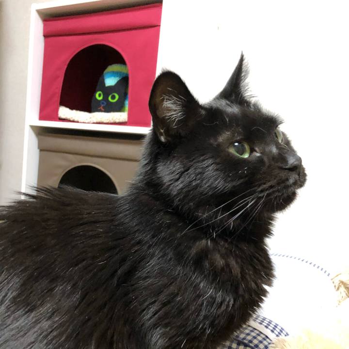 21decde5 78e0 48f8 bb66 a366af1d8b44 1583931485792