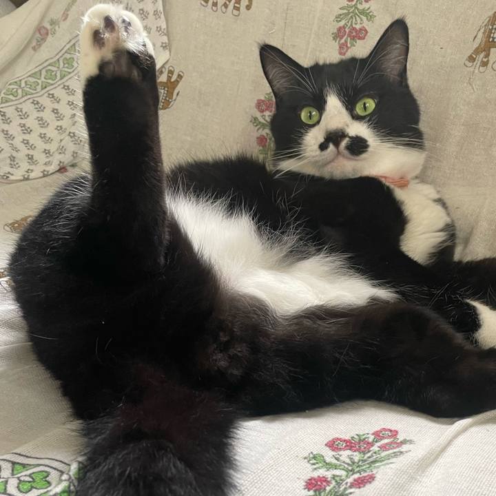 21dedb20 f505 47a8 8fd6 c27040595346 1752459862497